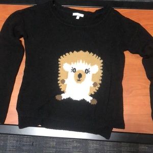 Delia’s Hedgehog Sweater